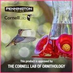 Pennington Ready-to-Use Hummingbird Food, 64 oz