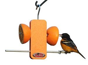 Kettle Moraine Single Oriole Fruit Stick Feeder