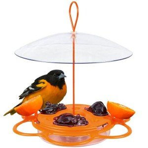 Nature's Way Orange Oriole Buffet Bird Feeder