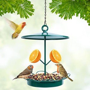 Outdoor Hanging Bird Feeder for Garden Patio