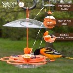 Nature's Way Orange Oriole Buffet Bird Feeder