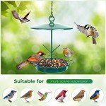 Outdoor Hanging Bird Feeder for Garden Patio