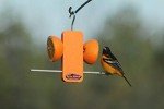 Kettle Moraine Single Oriole Fruit Stick Feeder