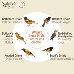 Nature's Way Orange Oriole Buffet Bird Feeder
