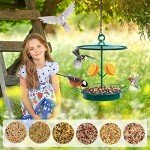 Outdoor Hanging Bird Feeder for Garden Patio