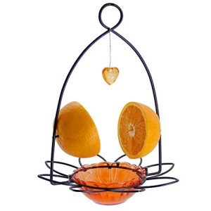 FORUP Orange Fruit Oriole Bird Feeder