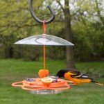 Nature's Way Orange Oriole Buffet Bird Feeder