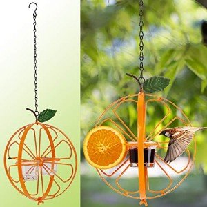 Oriole Jelly and Orange Fruit Bird Feeder