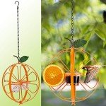 Oriole Jelly and Orange Fruit Bird Feeder