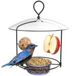 Nature's Way Bluebird Buffet Metal Bird Feeder