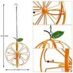Oriole Jelly and Orange Fruit Bird Feeder
