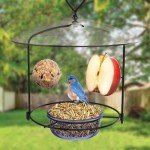 Nature's Way Bluebird Buffet Metal Bird Feeder