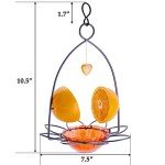 FORUP Orange Fruit Oriole Bird Feeder