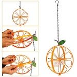 Oriole Jelly and Orange Fruit Bird Feeder