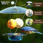 Nature's Way Bluebird Buffet Metal Bird Feeder