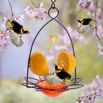 FORUP Orange Fruit Oriole Bird Feeder