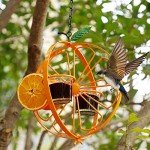 Oriole Jelly and Orange Fruit Bird Feeder
