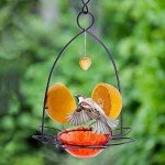FORUP Orange Fruit Oriole Bird Feeder