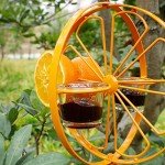 Oriole Jelly and Orange Fruit Bird Feeder