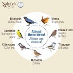 Nature's Way Bluebird Buffet Metal Bird Feeder