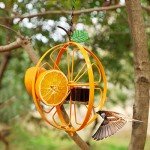 Oriole Jelly and Orange Fruit Bird Feeder