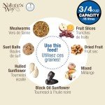 Nature's Way Bluebird Buffet Metal Bird Feeder