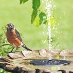 Solar Powered Floating Fountain for Bird Baths