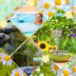 Solar Bird Bath Fountain with 6 Nozzles