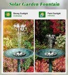 Solar Fountain Pump for Bird Baths and Gardens