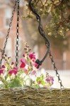 360° Flexible Drip Irrigation Mister - 12" Length