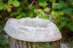 Rocky Mountain Ground Bird Bath with Water Dripper