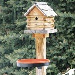 Heated Outdoor Birdbath with Mounting Options