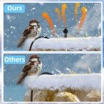 Heated Bird Bath with Fountain Pump for Winter