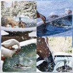 Heated Bird Bath with Fountain Pump for Winter