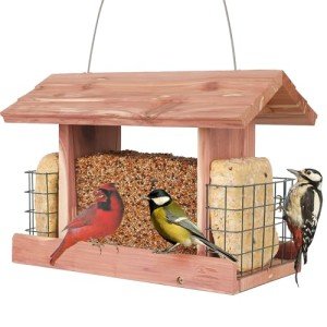 Cedar Bird Feeder with Double Suet Holder - G-8534