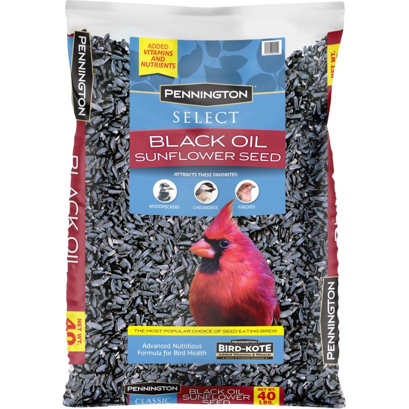 Birdseed & Bird Food