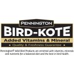 Pennington Black Oil Sunflower Seed Wild Bird Feed, 40 lbs