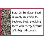 Pennington Black Oil Sunflower Seed Wild Bird Feed, 40 lbs