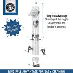 Droll Yankees Sunflower & Mixed Seed Bird Feeder