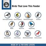 Droll Yankees Sunflower & Mixed Seed Bird Feeder