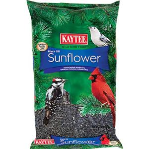 Kaytee Black Oil Sunflower Seed for Wild Birds