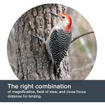 Celestron TrailSeeker 8x42 Waterproof Binoculars