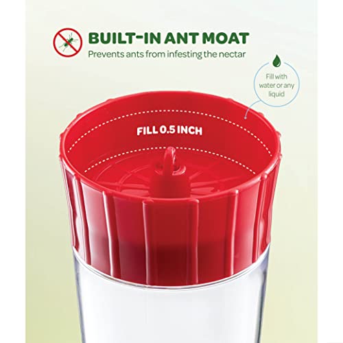Hummingbird Feeder 10 oz - Set of 2, Outdoor Feeders