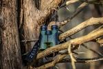 ZEISS Terra ED 8x42 Waterproof Binoculars