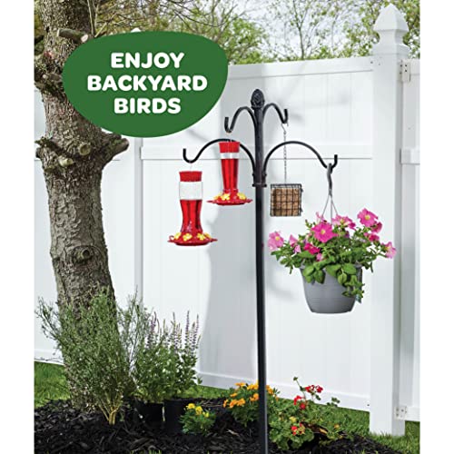 Hummingbird Feeder 10 oz - Set of 2, Outdoor Feeders