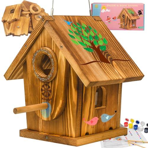 DIY Birdhouse Kit for Kids and Adults