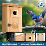 SISTERBIRD Cedar Bird Houses with Copper Guard