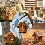 DIY Birdhouse Kit for Kids and Adults
