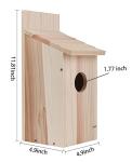 Outdoor Cedar Bird Houses for Hummingbirds & More