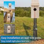 Outdoor Cedar Bird Houses for Hummingbirds & More